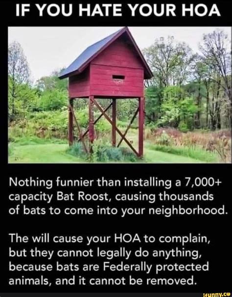 funny hoa quotes|funniest hoa rules.